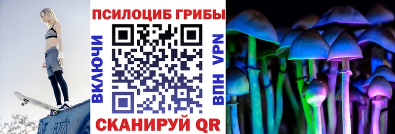 Галлюциногенные грибы Psilocybine cubensis  закладка  Оленегорск 